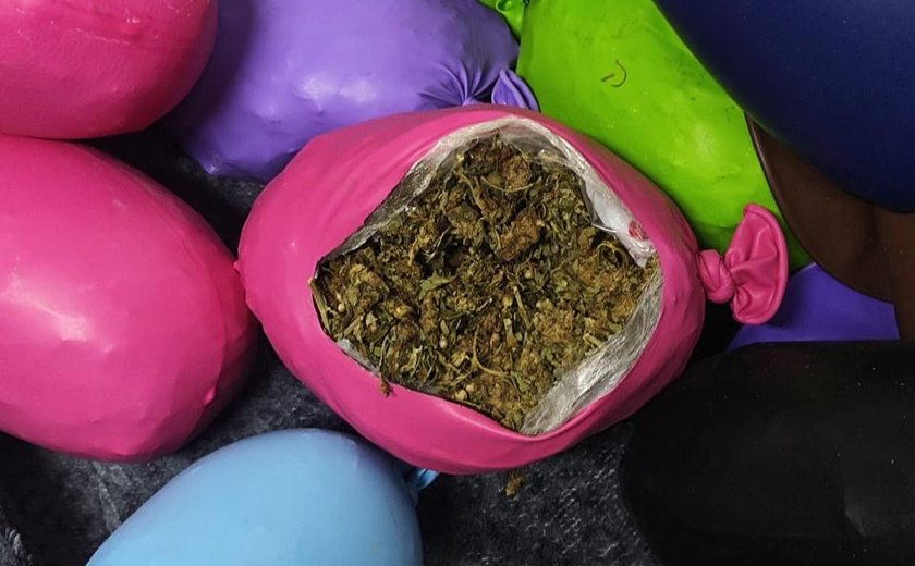 PM apreende quase 10 quilos de maconha escondidos em balões de festa durante operação integrada em Murici