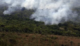 Copernicus: emissão global de gases por incêndios é a menor em 24 anos