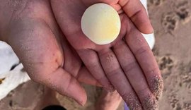 Erosão: Avanço da maré desenterra ninhos de tartarugas marinhas