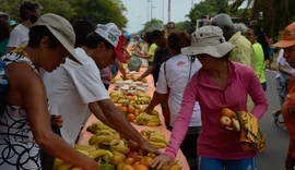 Ação da Cidadania lança Natal sem Fome 2025
