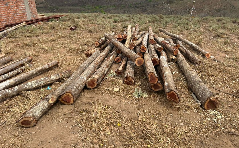 FPI 2023: Propriedade em Traipu é autuada por desmatamento de 200 hectares