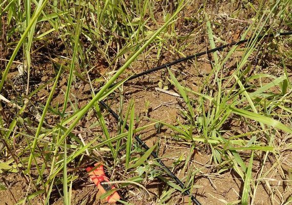 Roubo de cabos de fibra óptica deixa cidades sem internet
