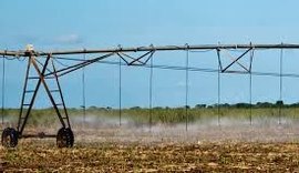 Parceria garante regulamentar irrigação em canaviais