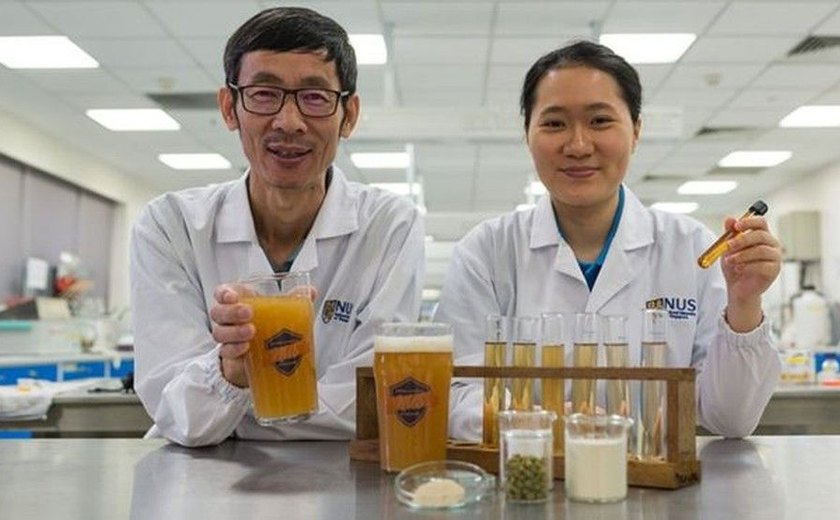 Cientistas asiáticos criam cerveja probiótica com lactobacilos vivos