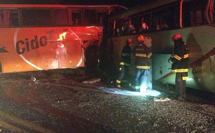 Acidente entre dois ônibus deixa oito mortos no interior de São Paulo