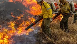 Pré-COP: Brasil propõe resposta global a incêndios florestais