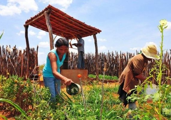 Alagoas foi Estado do Nordeste menos afetado pela crise econômica, segundo IBGE e Seplag