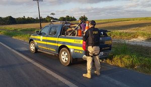 PRF recupera em Pilar motocicleta roubada em Limoeiro de Anadia