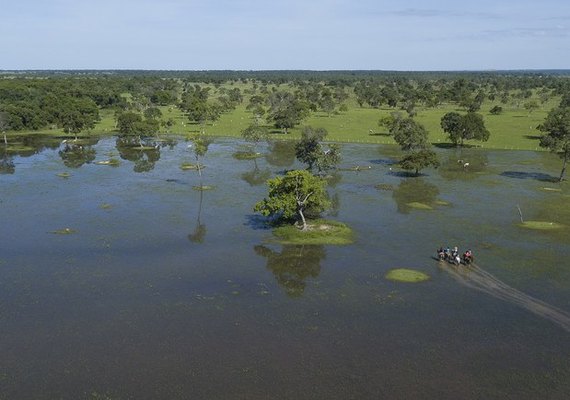 Região do Pantanal representa maior planície de inundação contínua do planeta