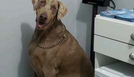 Caso Apolo: audiência contra o município de Maceió é finalmente agendada