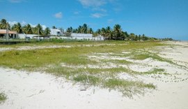 Praias com potencial turístico já sofrem com avanço do mar em Alagoas