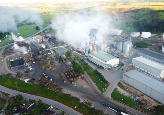 Cooperativa Pindorama tem no surgo vertente para ampliar lucratividade