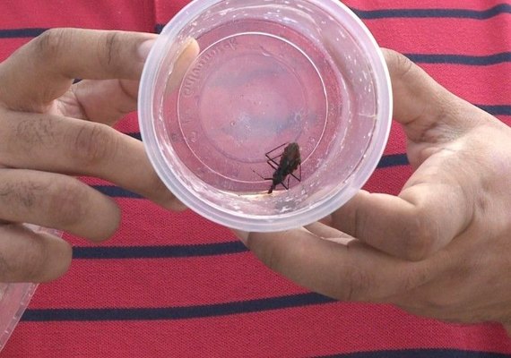 Barbeiros encontrados devem ser encaminhados a postos de informação em Maceió