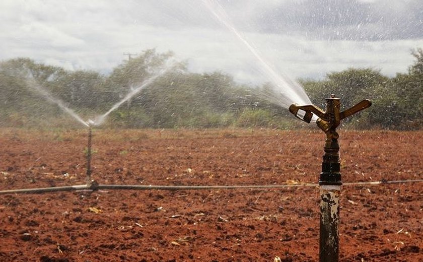 Projetos Públicos da Codevasf produziram 3,7 milhões de toneladas de itens agrícolas em 2016