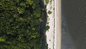 “Não existe Planeta B”, alerta astrofísico às vésperas da COP30