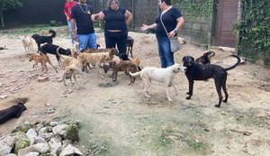 Comissão de Bem-Estar Animal da OAB Alagoas inspeciona abrigo de cães em Rio Largo