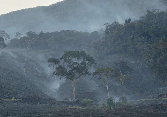 Incêndio em área de pasto de fazenda atinge Estação Ecológica de Murici