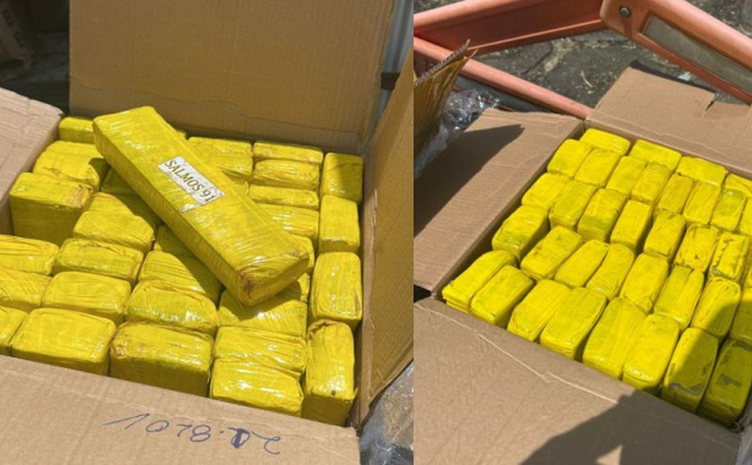 Polícia apreende grande carga de maconha com inscrições bíblicas em Alagoas