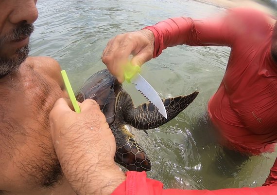 No lugar certo e na hora certa: presidente do Biota salva tartaruga marinha capturada acidentalmente