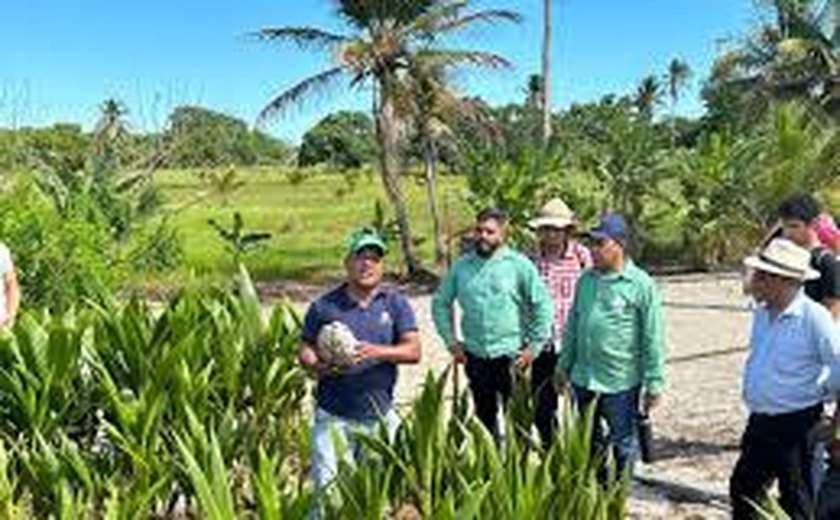 Equipe da Coopaiba participa de encontro técnico em Maceió