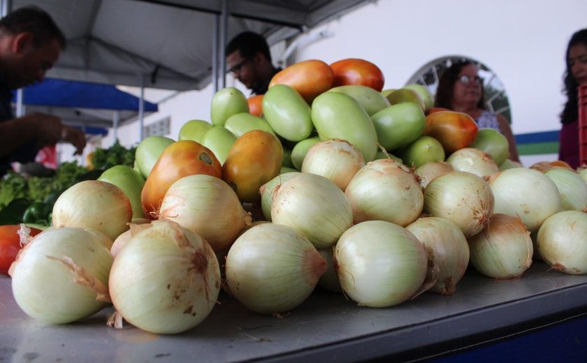 Agricultura familiar: qualidade da merenda é prioridade da gestão municipal