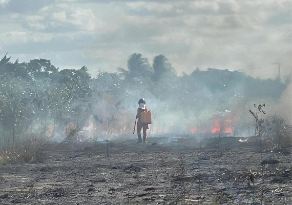 Bombeiros combatem incêndio em vegetação próxima a tubulações da Petrobras
