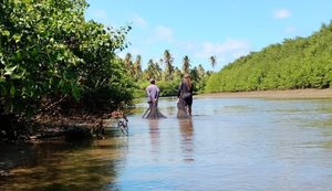 Peld Costa dos Corais realiza monitoramento de peixes em áreas berçário de Barra de Santo Antônio e Porto de Pedras