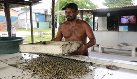 Sururu some da Lagoa Mundaú e preço 'explode' em Maceió