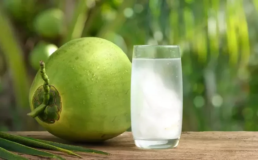 Água de coco emagrece? Veja 4 mitos e verdade sobre o consumo da bebida