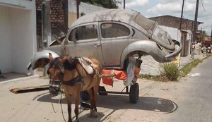 Guarda Municipal faz prisão em flagrante por maus tratos a animal