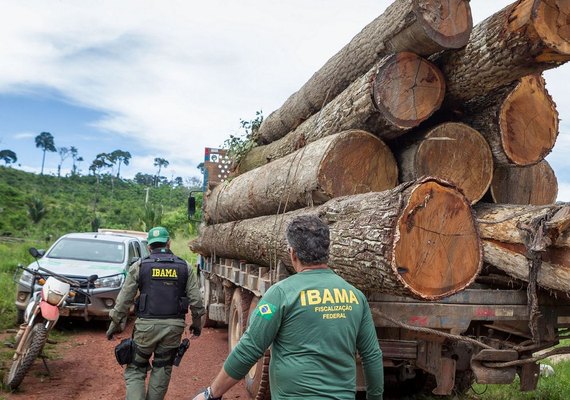 Governo autoriza contratação de 257 servidores para o Ibama