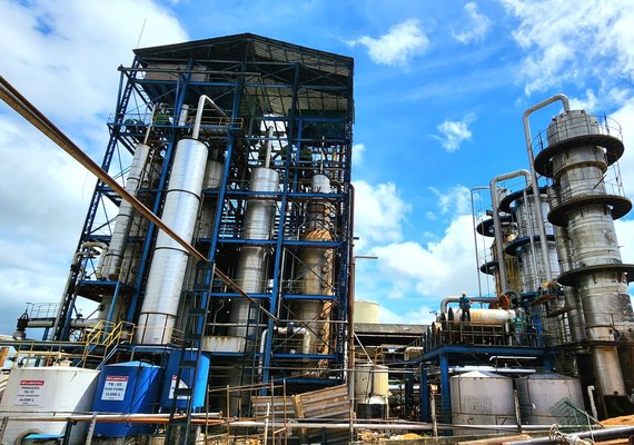 Cooperativa Pindorama realiza Missa de Abertura da Safra 2023/2024