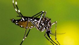 Crescem notificações de zika vírus em Alagoas