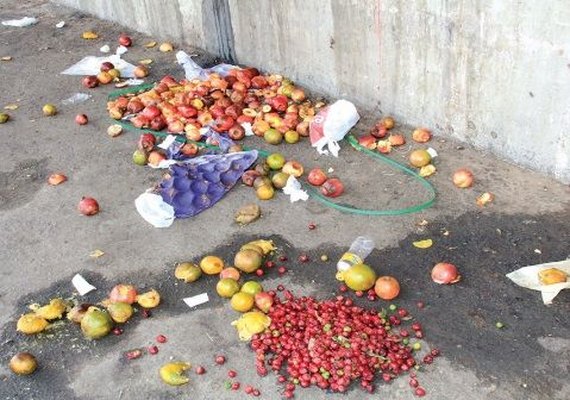 Mercado da produção desperdiça 30 toneladas de resíduos por dia