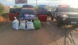PM apreende 35 kg de maconha que seriam transportados para Marechal Deodoro