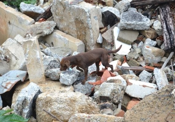 Corpo de Bombeiros realiza simulado de busca de vítimas em escombros