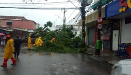 Pernambuco decreta emergência em 12 municípios por causa das chuvas