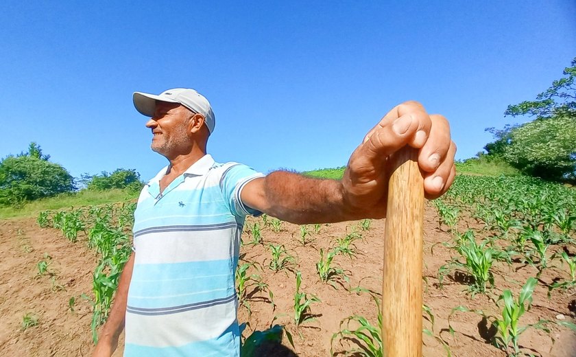 Projeto garante terra, assistência técnica e comercialização em Viçosa