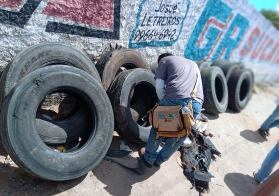 Alagoas registra 17,5 mil casos de dengue e 20 mortes este ano
