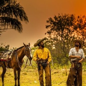 Pantanal, Joventino volta com uma boiada de marruás e todos o admiram