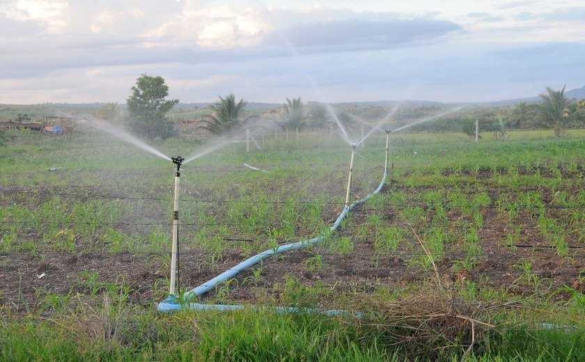 Novo programa implantado pela Codevasf em Alagoas vai fortalecer produção irrigada