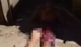 Jovem é morto a tiros e pauladas em São Miguel dos Milagres