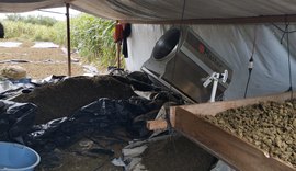 Polícia Federal apreende cerca de duas toneladas de maconha “gourmet”  na divisa de AL com PE