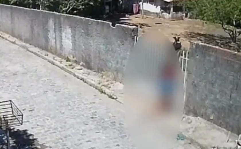 Cadela é resgatada com pata fraturada após caso de maus-tratos em Maceió