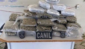 PM apreende mais de 10kg de drogas em um ônibus próximo a povoado em Arapiraca