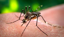 TRE autoriza campanha institucional de combate à dengue durante período eleitoral