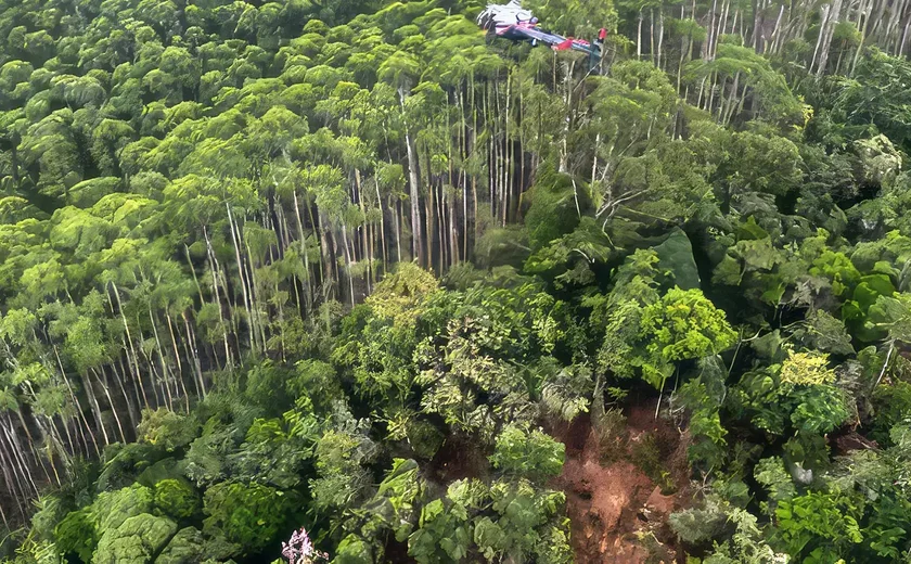 Corpos de ocupantes de helicóptero são encontrados junto aos destroços