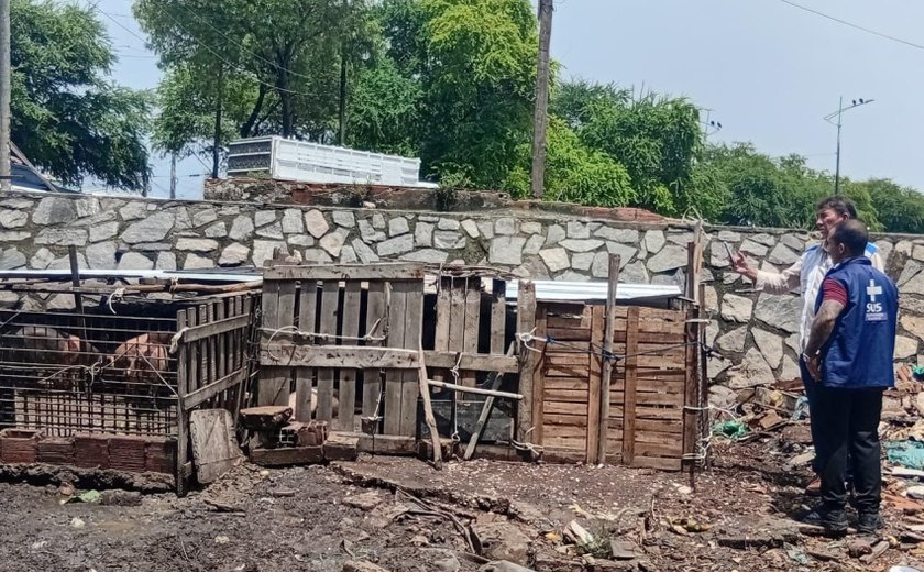 Pocilgas no bairro da Levada são notificadas pela Vigilância Sanitária