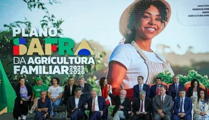 Plano Safra 25/26 prevê R$ 89 bilhões para agricultura familiar