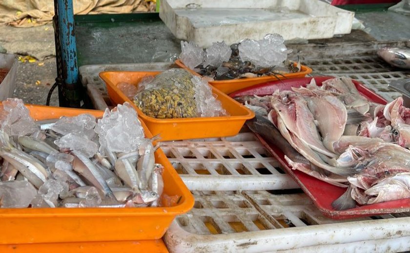 Operação fiscaliza comércio de pescado e apreende produtos impróprios em Arapiraca